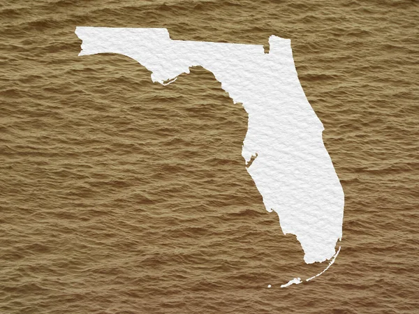 Silueta Státu Florida Pozadí Kalnou Vodou Hnědé Barvě — Stock fotografie