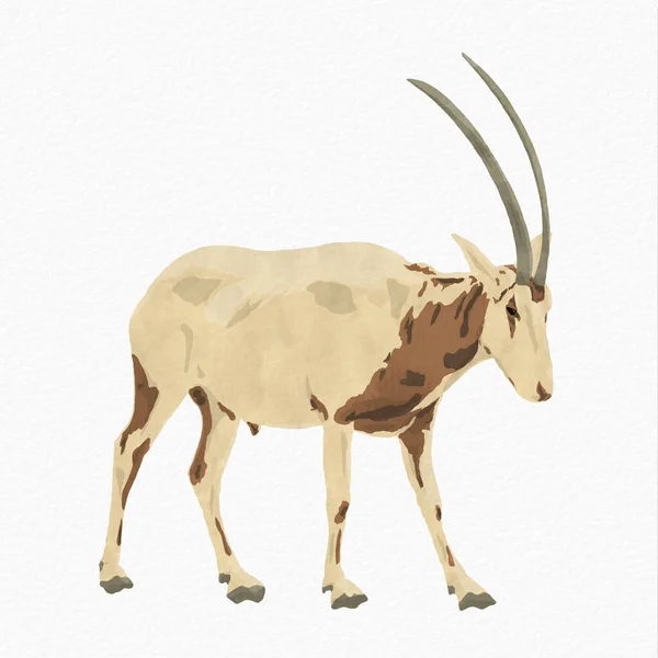 Ilustración Digital Oryx Con Cuernos Cimitarra Aislado Caminando Con Textura — Foto de Stock