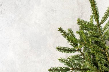  Kış dönemi. Köknar dalları ve metin için yeri olan Noel arkaplanı.