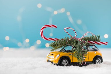 Köknar dallı oyuncak araba ve mavi arka planda lolipop.