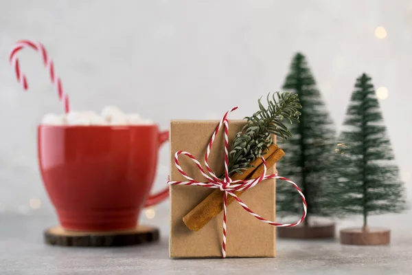 Geschenkdoos versierd met een kaneelstokje en een takje van een kerstboom. — Stockfoto
