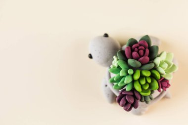 Açık bej üzerinde kaplumbağa şekilli kapta polimer kil gerçekçi sulu bitkiler.