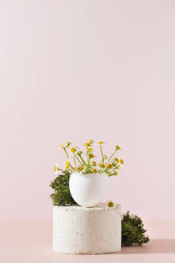 Bahar ve Paskalya konsepti, açık pembe arka planda bir podyumda yumurta kabuğu papatya demeti. Sanat