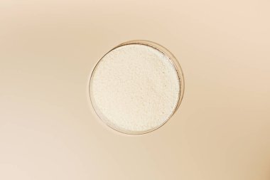 Bej kaplamalı Petri kabında hidrolize kolajen tozu. Cilt bakımı, gençleştirme.