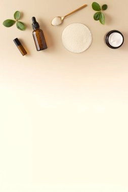 Yaşlanma karşıtı kozmetik ve kolajen tozu bej arka planda ve yeşil yapraklarda bir petri kabında. Cilt bakımı, gençleştirme. Kozmetik arka plan. Boşluğu kopyala