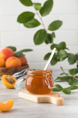 İçinde kaşık olan bir kavanoz kayısı reçeli, ahşap bir tabakta olgun kayısılar ve açık arkaplanda yeşil yapraklı bir dal. Kış için hazırlıklar, meyve koruma..