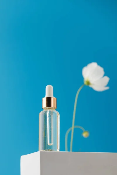 Przezroczysty Kroplomierz Szklany Produktem Kosmetycznym Podium Niebieskim Tle Białym Kwiatem — Zdjęcie stockowe