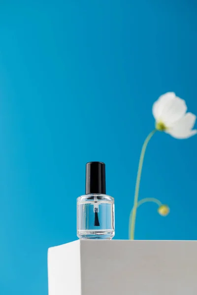 Transparent nail polish stands on a podium on a blue background with a white flower.