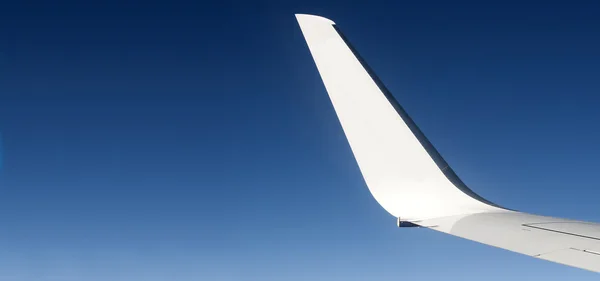 The wing — Stock Photo, Image
