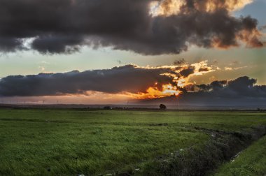 Tavoliere delle puglie.