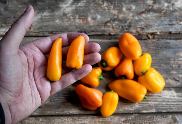 Kırsal bir ahşap masadaki biberlerin arka planında iki sarı biber gösteren bir insan eli görüntüsü. Seçici odak.