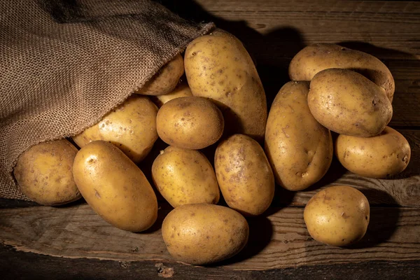 Kırsal arka planda çuval içinde patates hasat et.