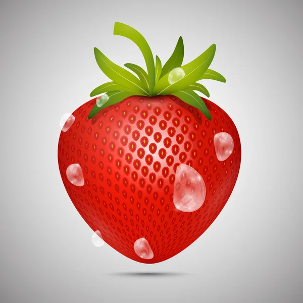 Rote Erdbeere — Stockvektor
