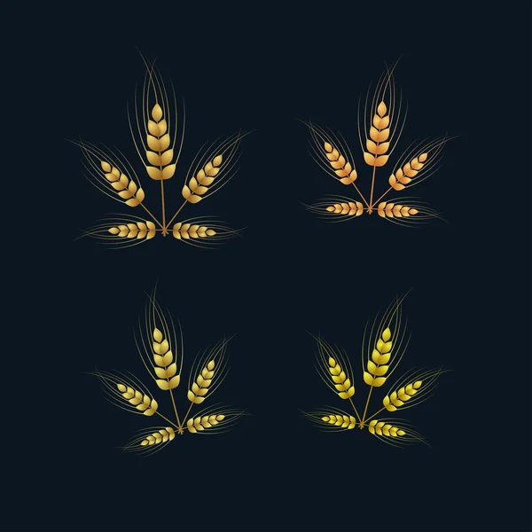 Vector Ears of Wheat Set — Stock Vector