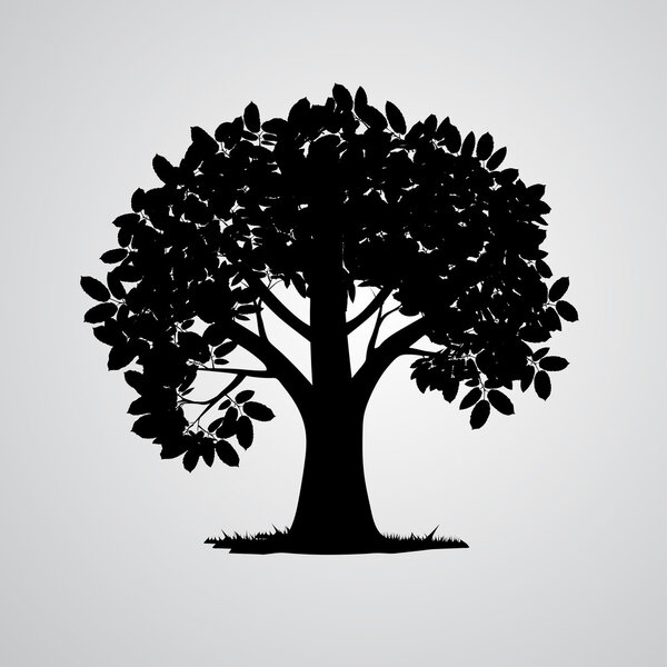 Illustration of tree