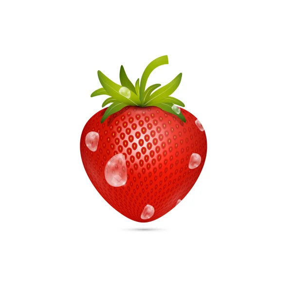 Frische Erdbeere mit Wassertropfen — Stockvektor
