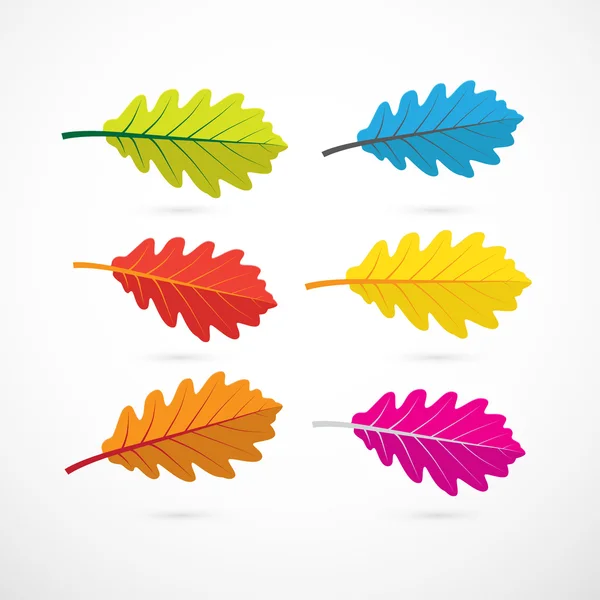 Colorful Vector Oak Leaves — Stock Vector