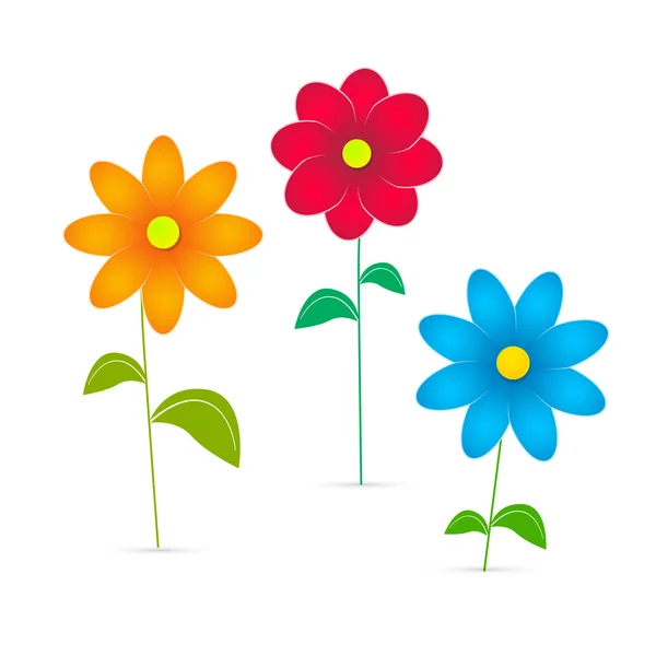 Vector Flowers Illustration Isolated on White Background — Stock Vector