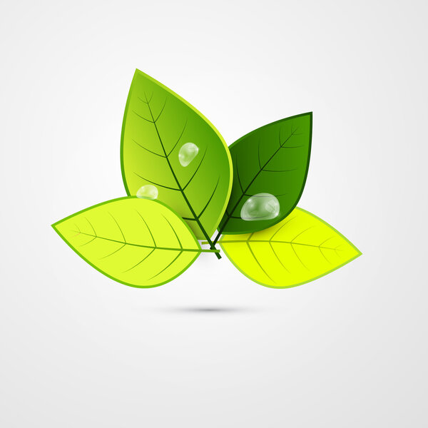 Абстрактный вектор зеленые листья 3d Изолированные на сером фоне
