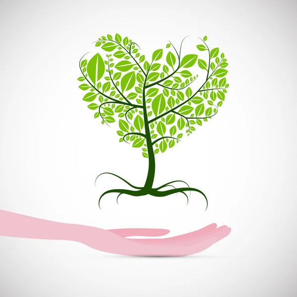 Hartvormige abstracte groene boom in menselijke hand — Stockvector