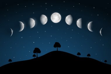 ay evreleri - ağaçları ile gece manzarası