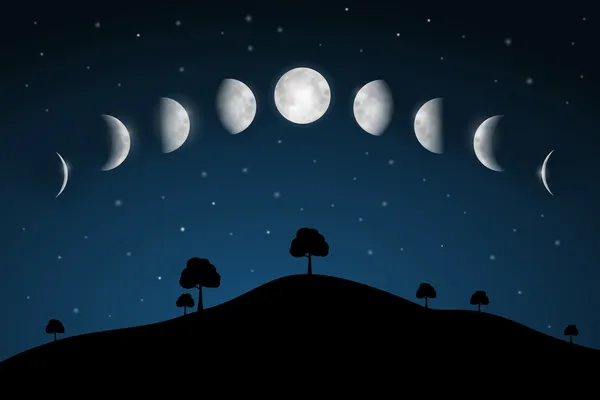 Ay evreleri - ağaçları ile gece manzarası — Stok Vektör