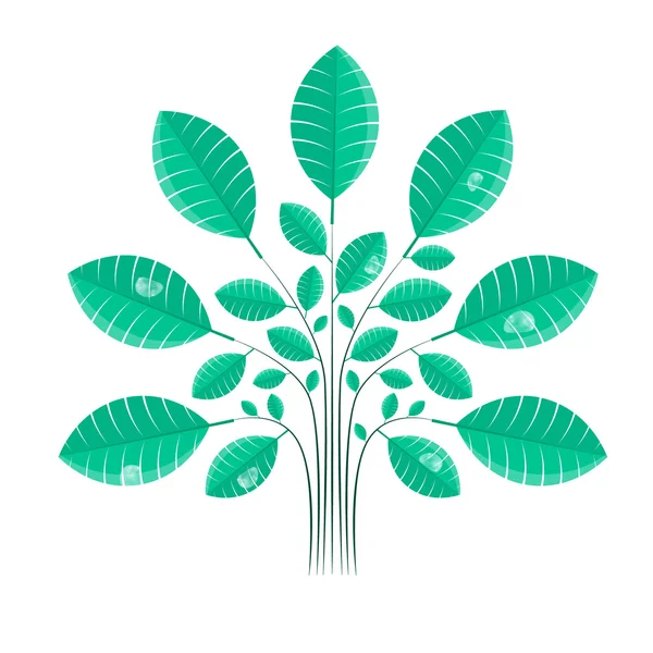 Abstrakter Vektorbaum, Strauch mit grünen Blättern und Wassertropfen — Stockvektor