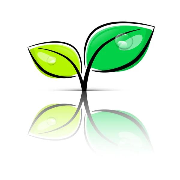 Bladeren groen vectorillustratie geïsoleerd op witte achtergrond — Stockvector