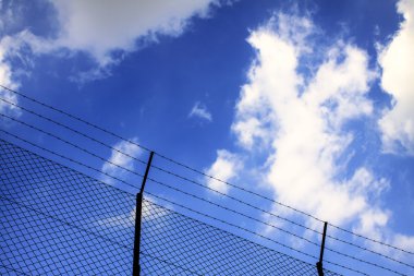 Blossom - yeşil doğa arka plan bahar şube