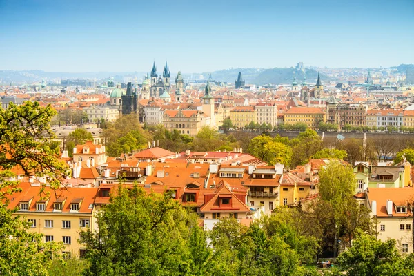 Praag in voorjaar foto — Stockfoto