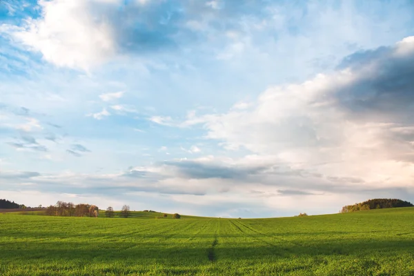 Nature - Landscape Photo with Green Field and Sky with Clouds — Stock Photo, Image