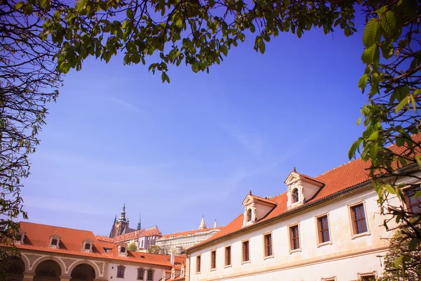 Na jaře pobočka v květ - zelená přírodní pozadí — Stock fotografie