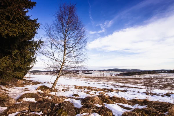 Invierno paisaje rural —  Fotos de Stock