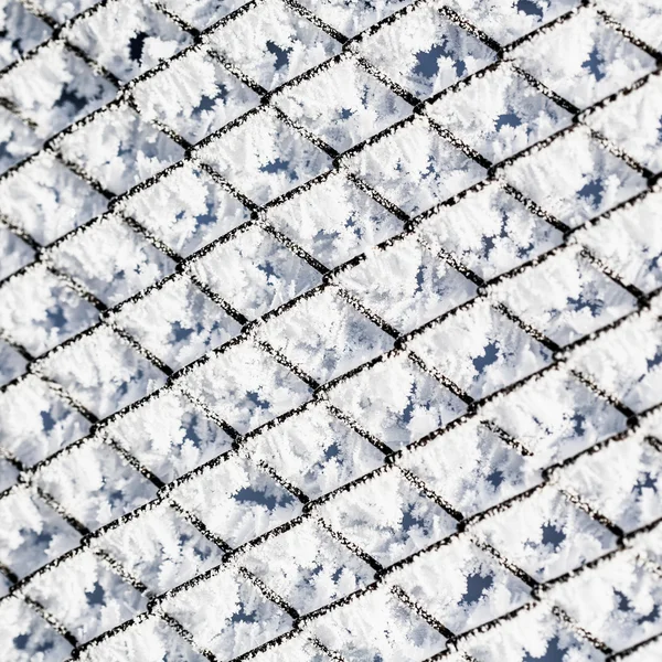 Donmuş çit fotoğraf — Stok fotoğraf