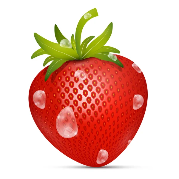 Strawberry Vector Illustration with Water Drops on White Background — Stock Vector