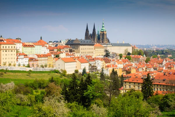 Κάστρο της Πράγας άνοιξη φωτογραφία - τον καθεδρικό ναό του Αγίου Βίτου - Τσεχία - Ευρώπη — Φωτογραφία Αρχείου