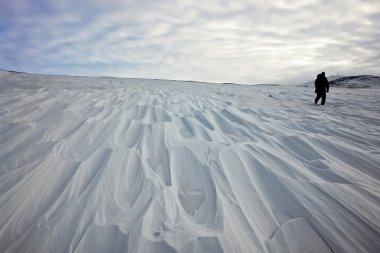 tundra karla kaplı.