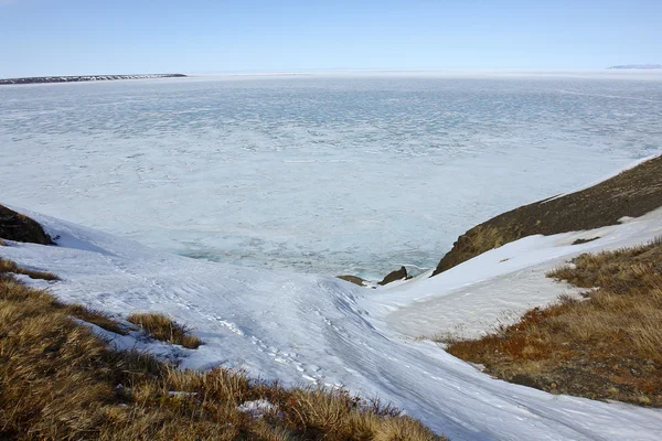 Chukotka. polarny ocean — Zdjęcie stockowe