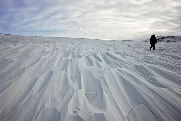 Zasněžený tundra. — Stock fotografie
