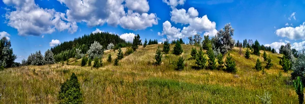 Hills covered in forests. — Stock Photo, Image