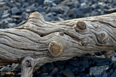 eski günlük deniz kıyısında atılır.