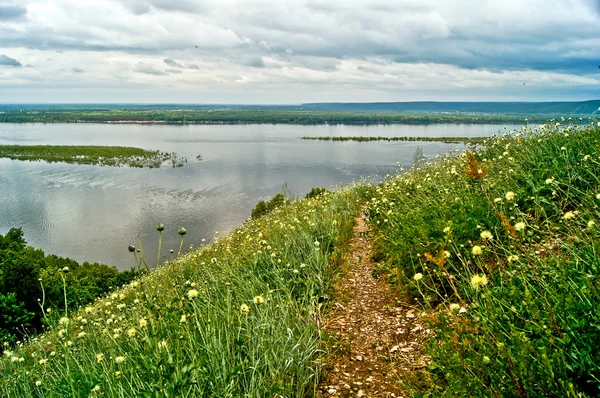 Flowering meadow on the bank of the Volga River. — Stock Photo, Image