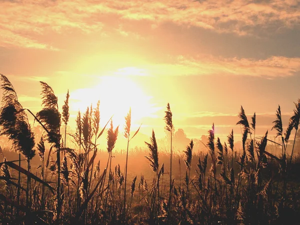 puslu sabah gündoğumu