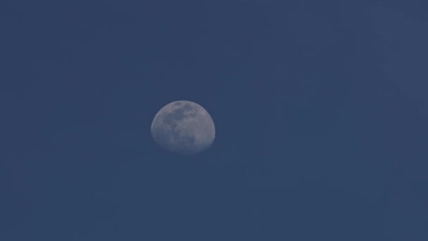 Avion de pasageri care zboară pe lângă Lună. — Videoclip de stoc