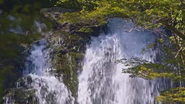 Een Close Van Minoo Falls Osaka Prefecture Japan Hoge Kwaliteit — Stockvideo