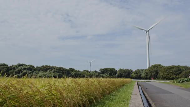 Zbliżenie Zakładów Ryżu Turbinami Wiatrowymi Działającymi Tle Prefekturze Tottori Japonii — Wideo stockowe