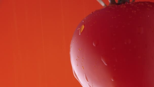 Makroaufnahme einer reifen roten Tomate in Wassertropfen auf rotem Studiohintergrund. Großaufnahme von rohem frischem Gemüse in Spritzern. Die Oberfläche der Tomate ist mit glänzenden Feuchtigkeitstropfen bedeckt. Zeitlupe — Stockvideo