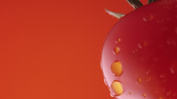 Reife Tomaten in Wassertropfen auf rotem Studiohintergrund. Nahaufnahme einer roten Tomate mit tropfenden Feuchtigkeitstropfen auf der Oberfläche. Nasses Gemüse für Bildschirmschoner und Hintergrundbilder. Zeitlupe. — Stockvideo