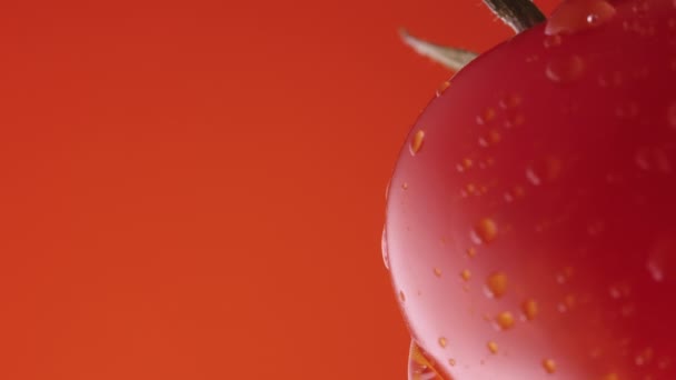 Reife Tomaten in Wassertropfen auf rotem Studiohintergrund. Nahaufnahme einer roten Tomate mit tropfenden Feuchtigkeitstropfen auf der Oberfläche. Nasses Gemüse für Bildschirmschoner und Hintergrundbilder. Zeitlupe. — Stockvideo