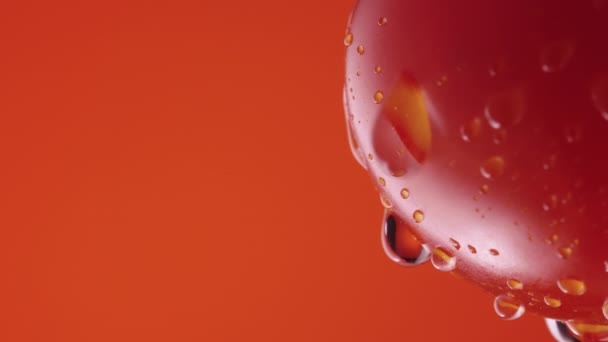 Mogen tomat i droppar vatten på röd studio bakgrund. Makro skott av droppande fuktdroppar på ytan av röd tomat. Våt grönsak för skärmsläckare och tapeter. Sakta i backarna. Närbild. — Stockvideo